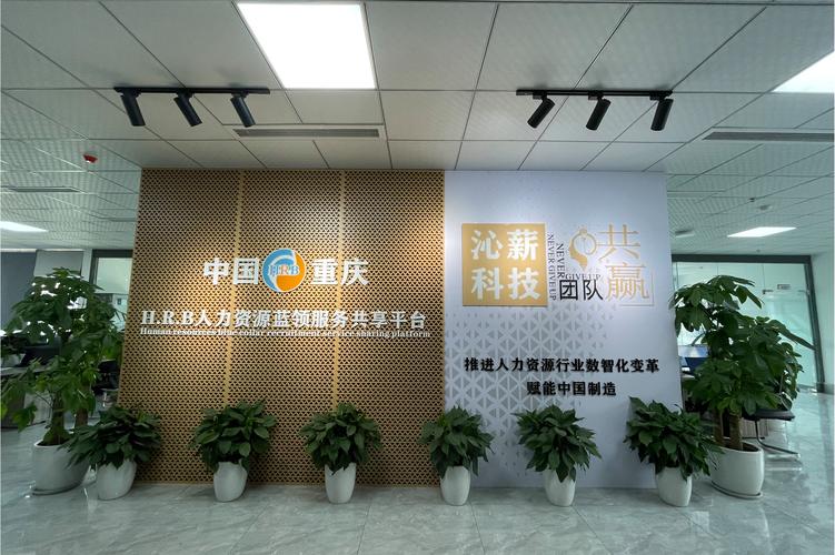  云 ,公司经营范围包括:一般项目:软件开发;人工智能应用